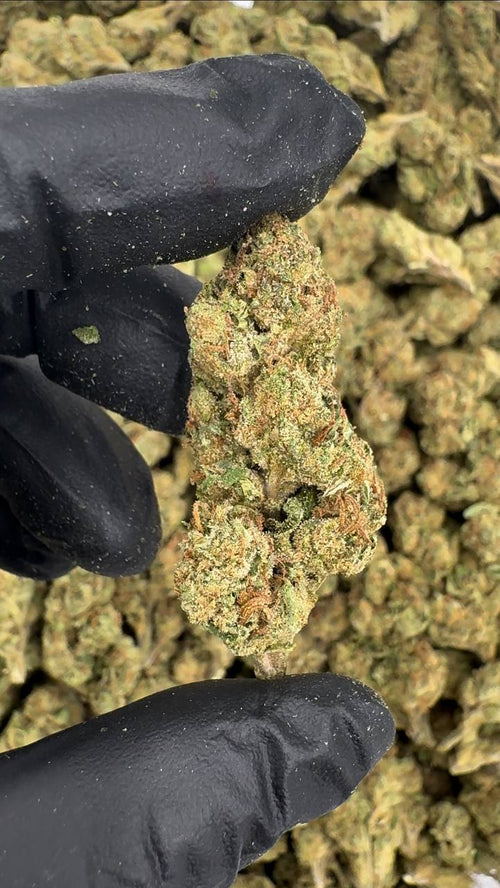 G33 🍨🍭🍬