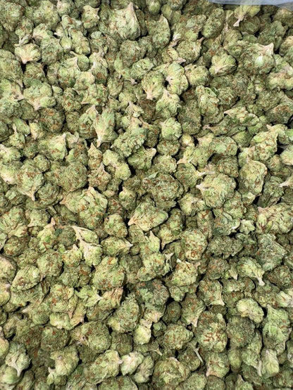 Gelato 41 Smalls 🍦🍨4️⃣1️⃣