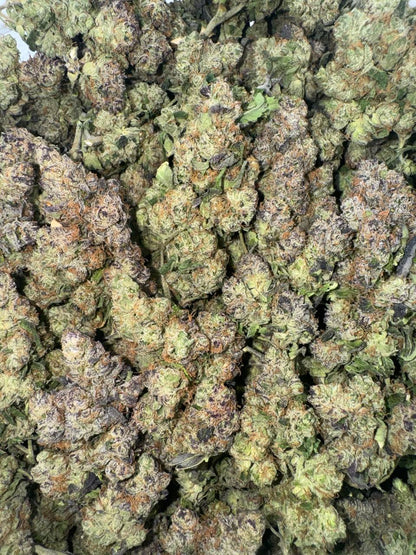 Lemon Thyme 🍋🌿🪴
