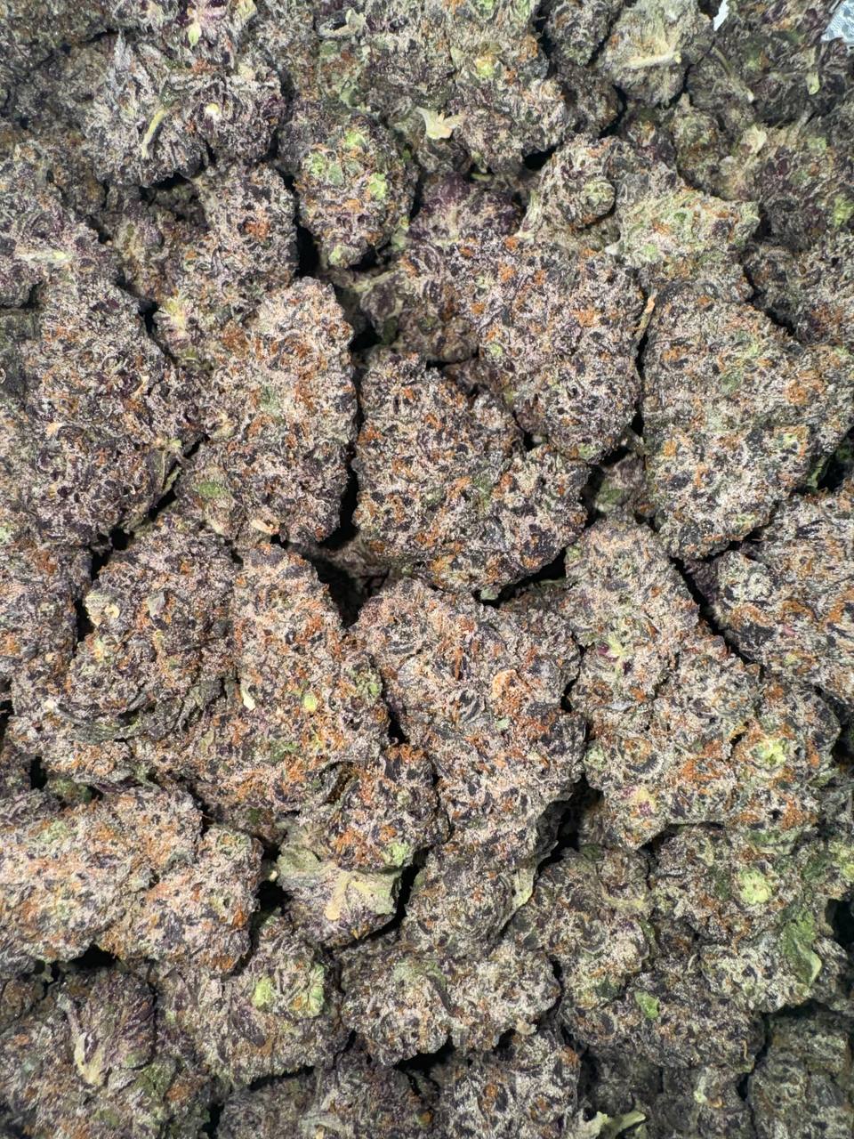 Mulberry Fizz 🫐🍇🫧