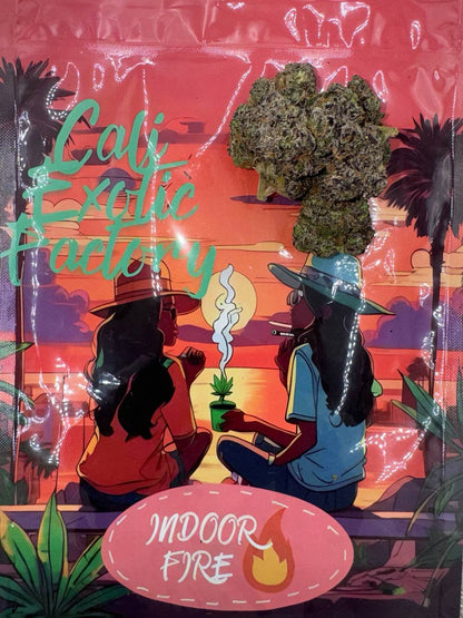 ADL 🍒🫐⛽️