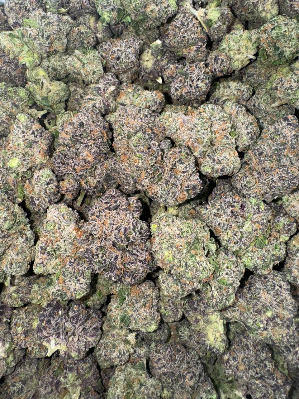 ADL 🍒🫐⛽️