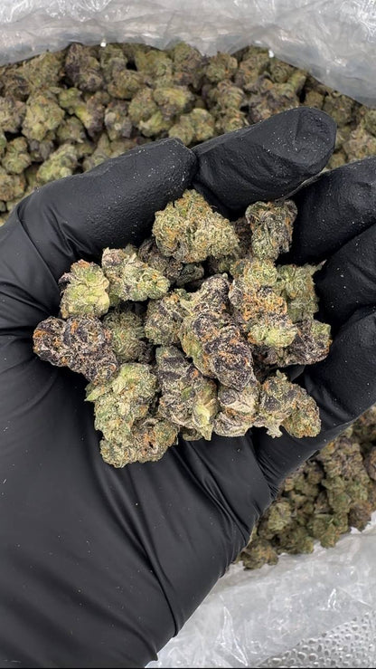 Astro Berries Smalls(Organic)☄️🪐🫐