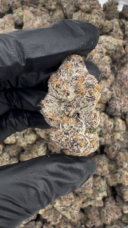 Bubblegum 🧼🫧🍬