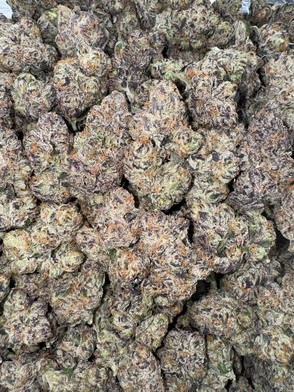 Bubblegum 🧼🫧🍬