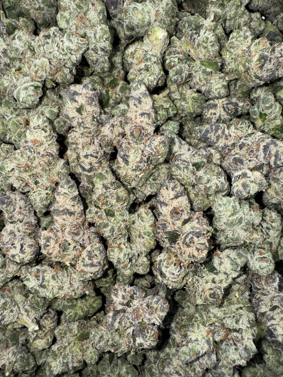 Black Gummies (Organic)🖤🍭🧸