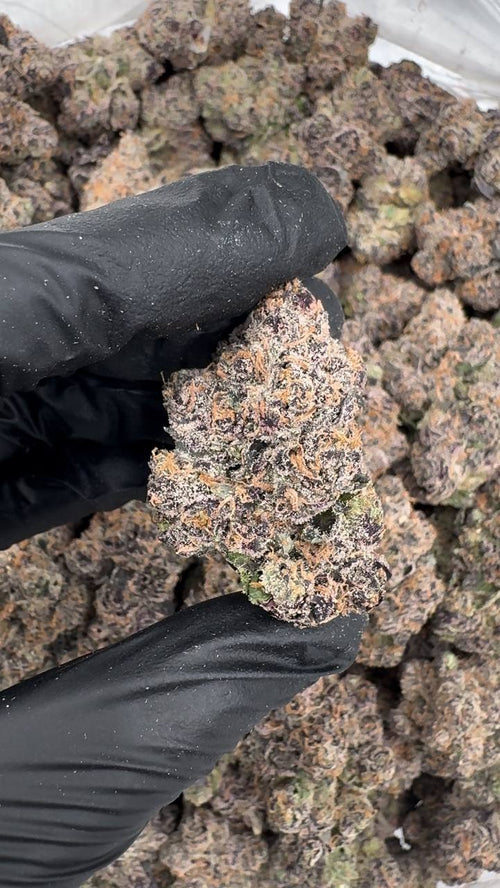 Blue Nerdz (Organic)💙🫐🍬