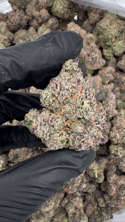 Black Sherbet (Organic)🖤❄️🍧