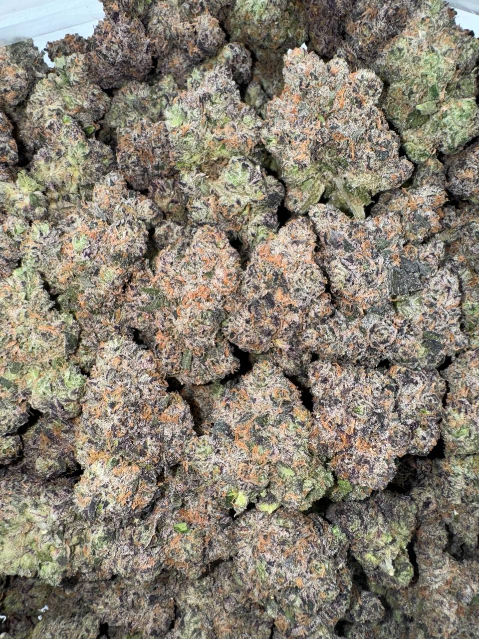 Black Sherbet (Organic)🖤❄️🍧