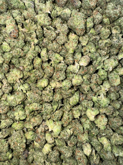 Bubbleberry Smalls 🫧🍓🫐