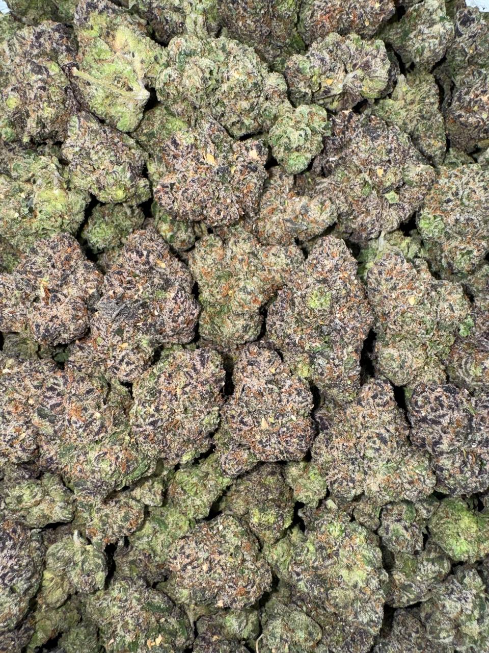 Berry Zest 🍓🫐🍊