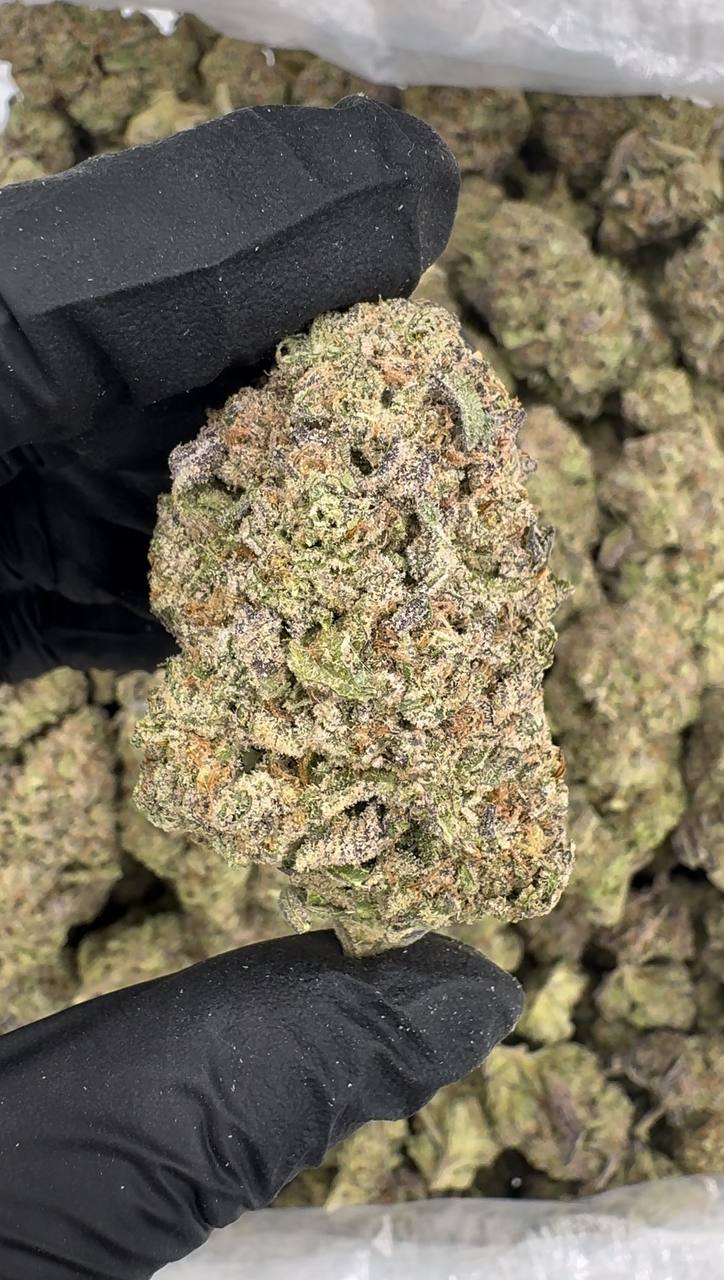 Cake Batter 🍰🎂🥣