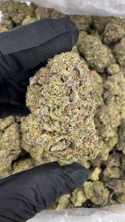Cake Batter 🍰🎂🥣