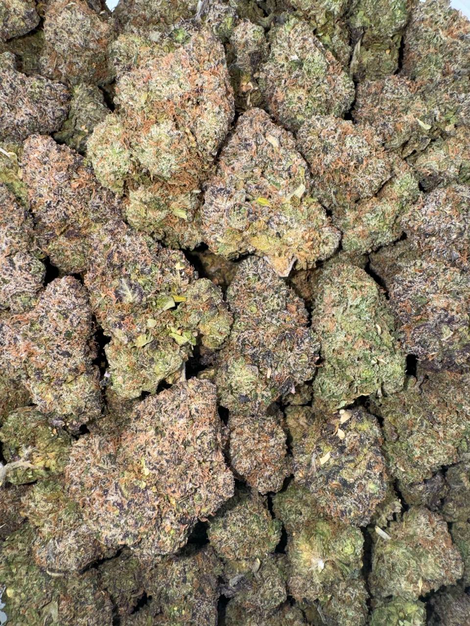 ⚜️Cali Exclusive Candy Infused ⚜️  Rainbow Beltz flavor  🏳️‍🌈🌈🍭 **Rainbow Gushers**