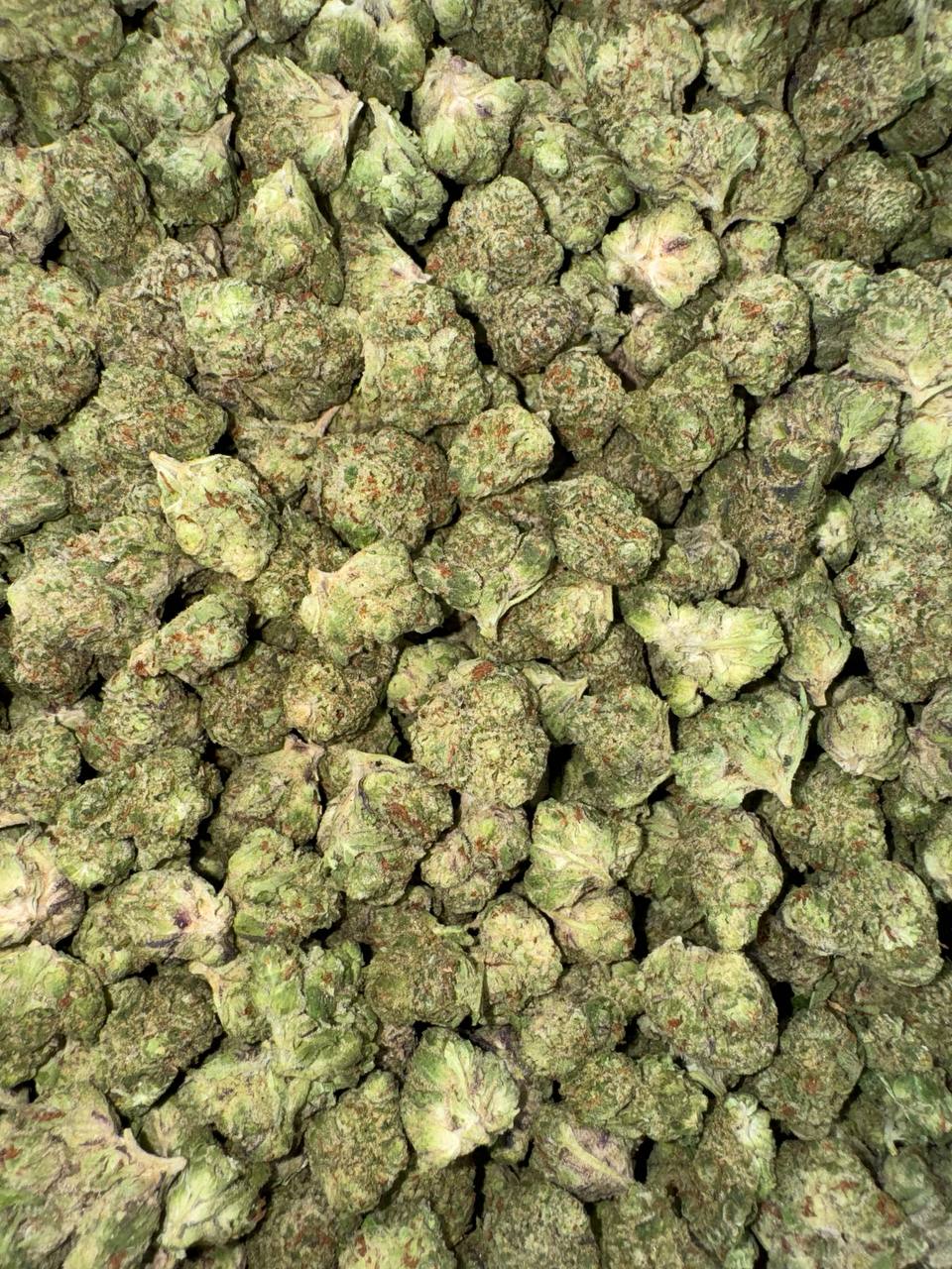 ⚜️Cali Exclusive Candy Infused ⚜️  Caribbean Passion flavor  🏝️🥭💃 **Passion Orange Guava**
