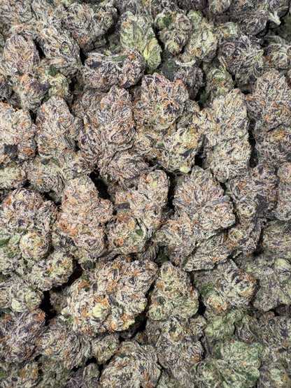 Candy Gelato🍬🍭🍨