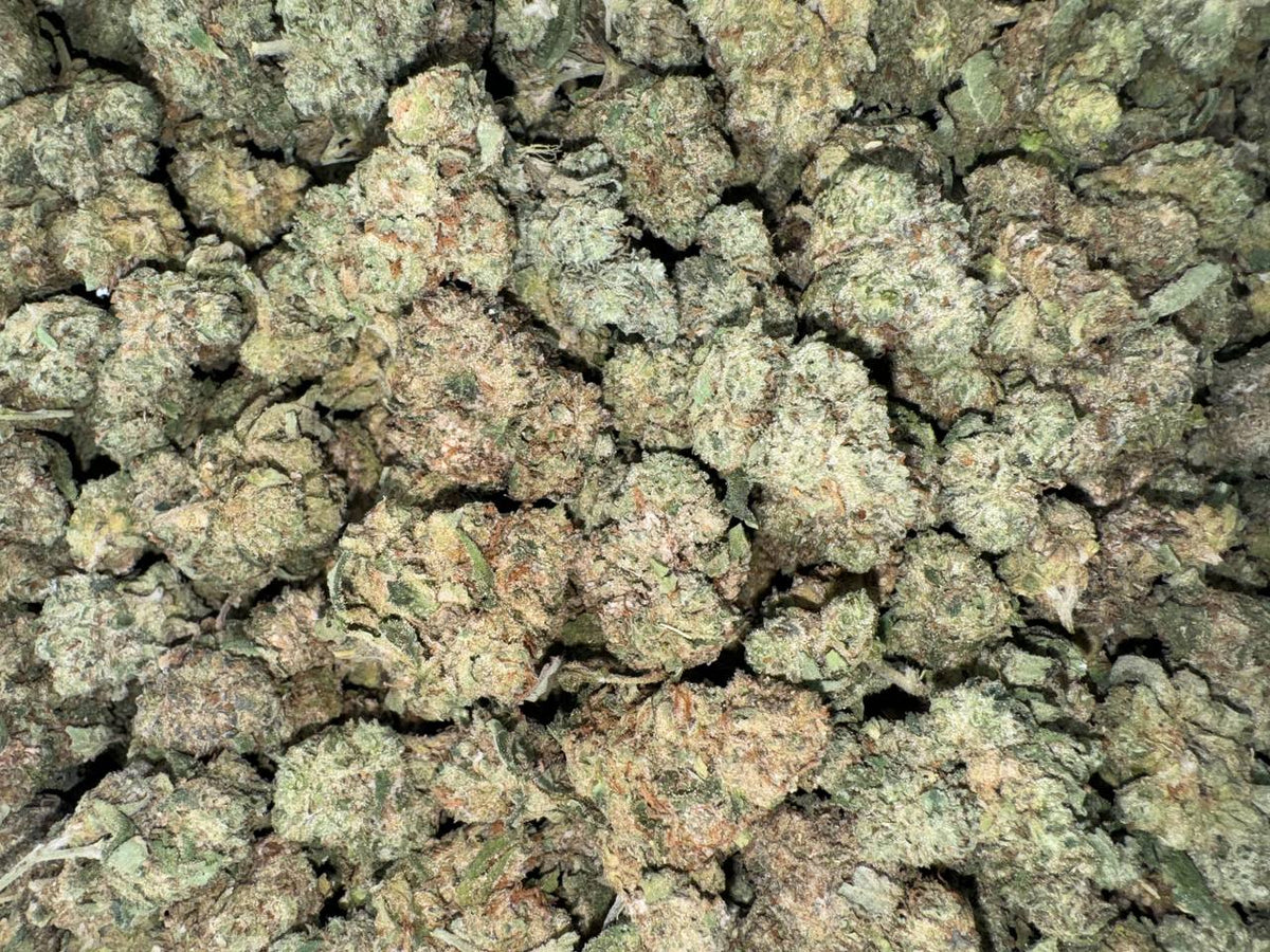 Citrus Sundae 🍊🍋🍨