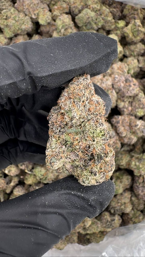 Citrus Kool-Aid 🍋🍊🥤