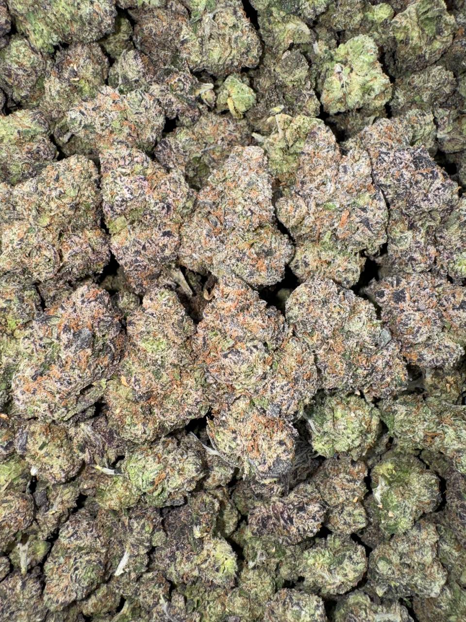 Citrus Kool-Aid 🍋🍊🥤