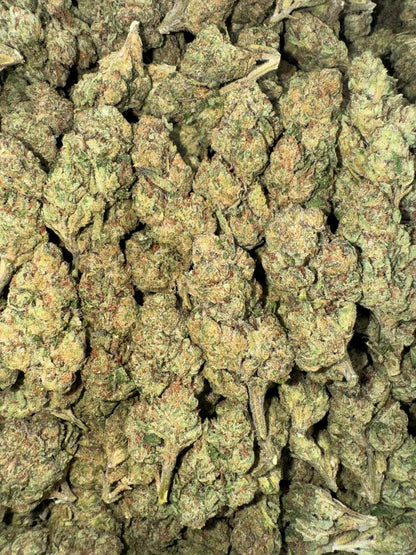 Citrus Pop 🍊💥🔥