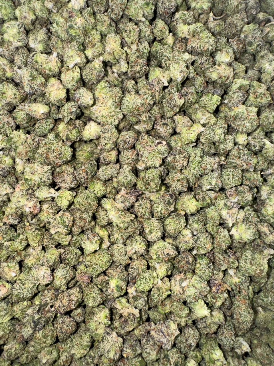 Citrus Splash Smalls 🍋💦🌊