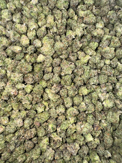 Citrus Splash Smalls 🍋💦🌊