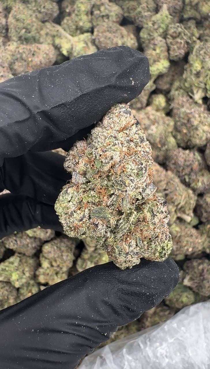 Cherry Zlushie 🍒❄️🧊