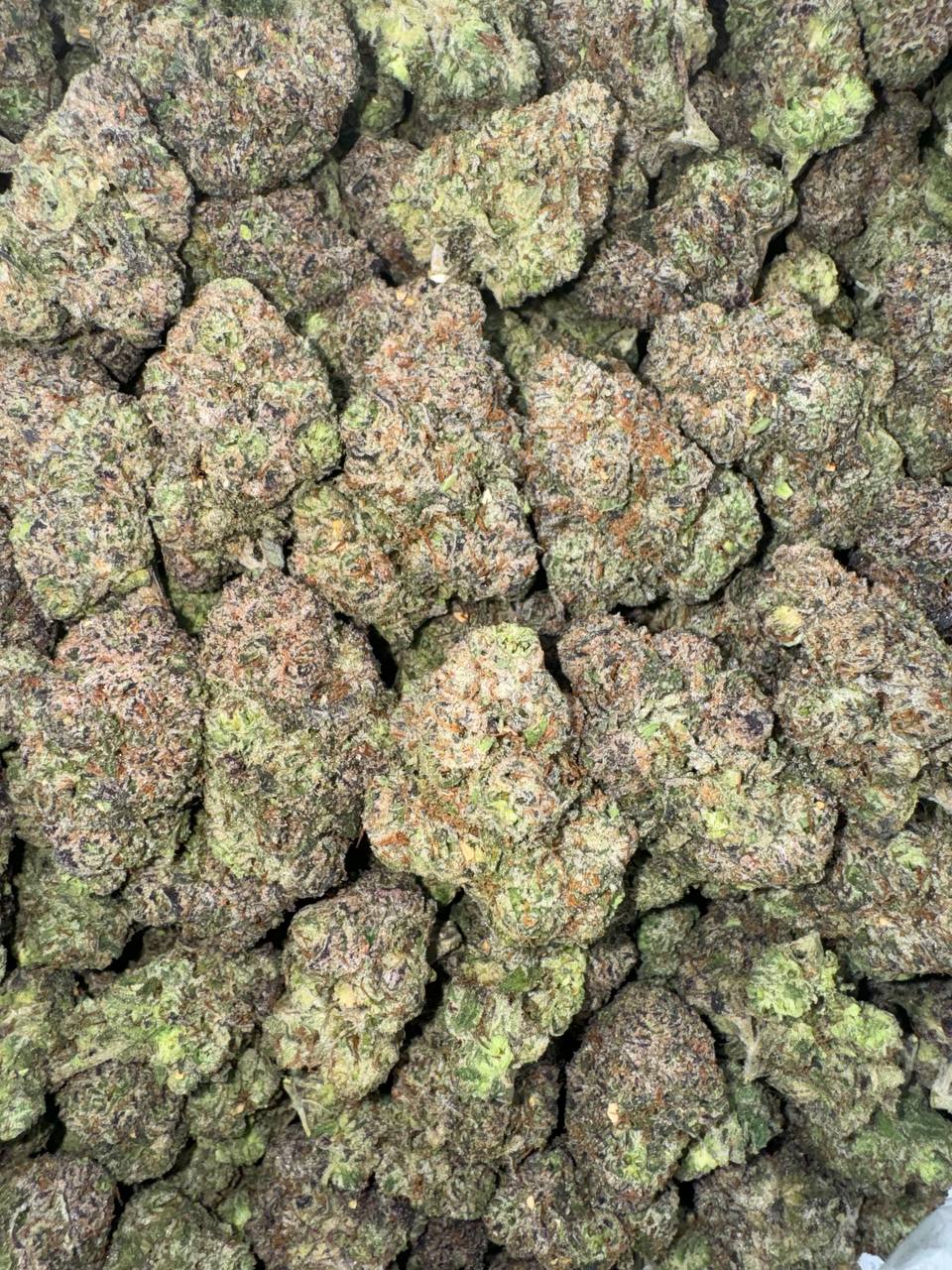Cherry Zlushie 🍒❄️🧊