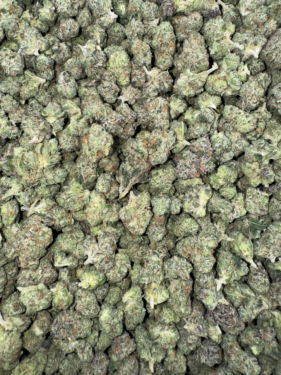 Frozen Grapefruit (Mediums)🥶❄️🍧