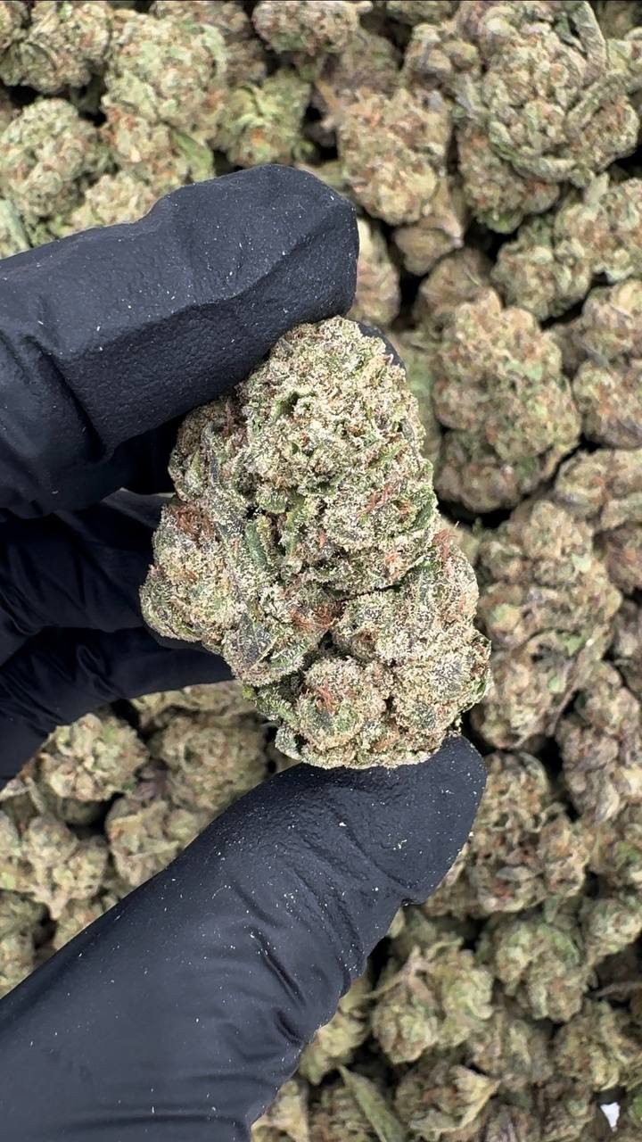 Candy Gas 🍭⛽️🔥