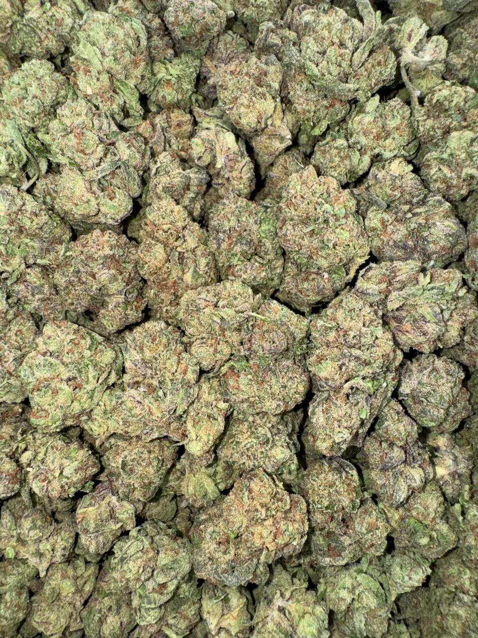 Candy Gas 🍭⛽️🔥