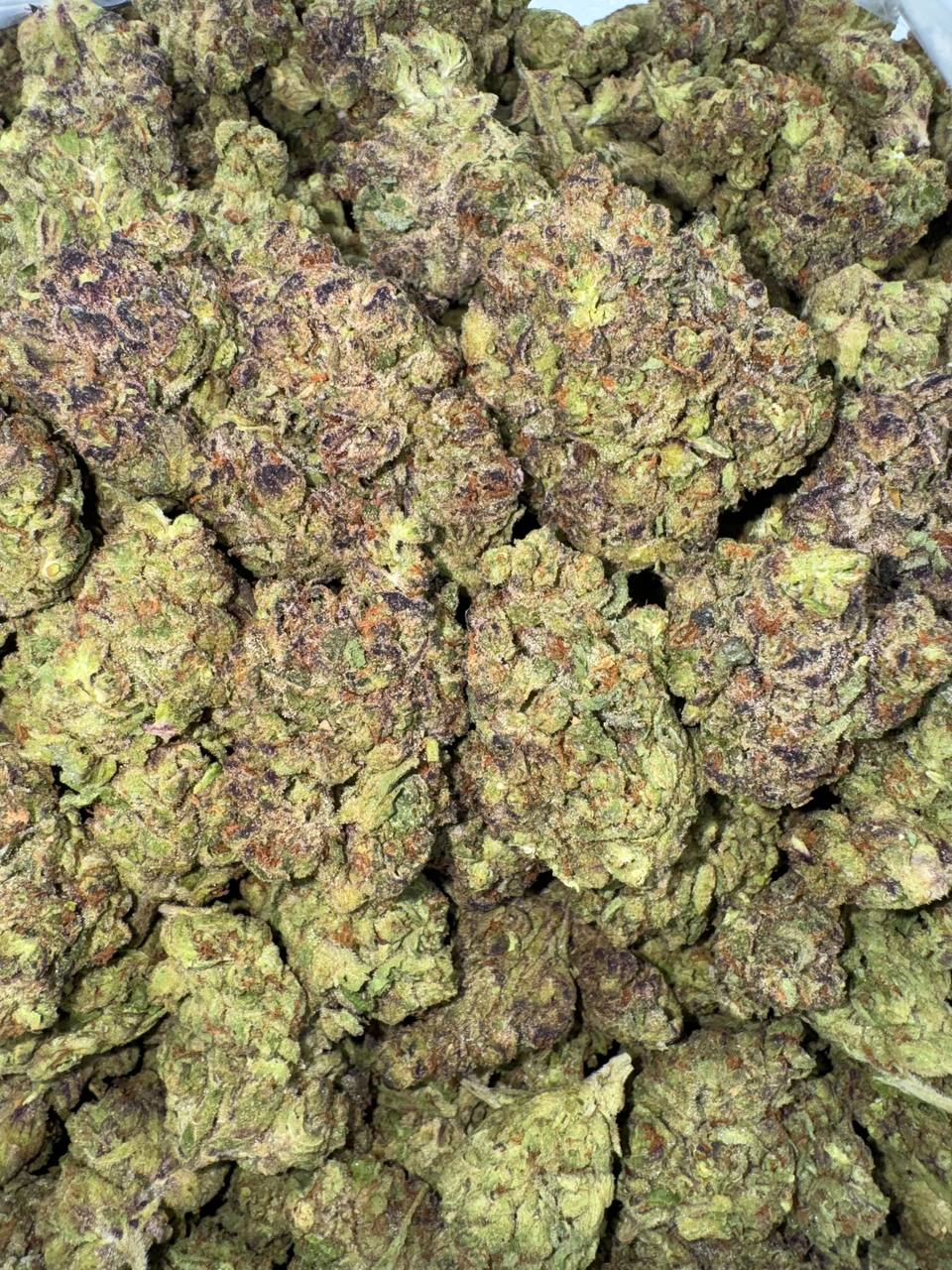 Grape Stomper 🍇🦶🐾