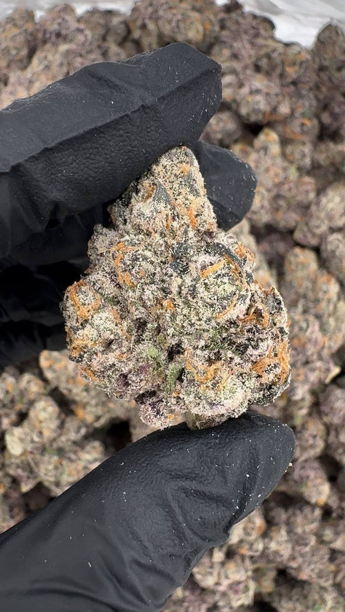 Gumbo Gelato (Organic)🍲🍦🍨