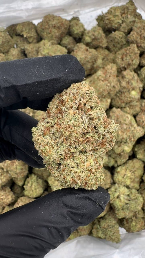 ⚜️Cali Exclusive Candy Infused ⚜️  Gummy Bear flavor  🍬🍭🧸 **Candy Cake**