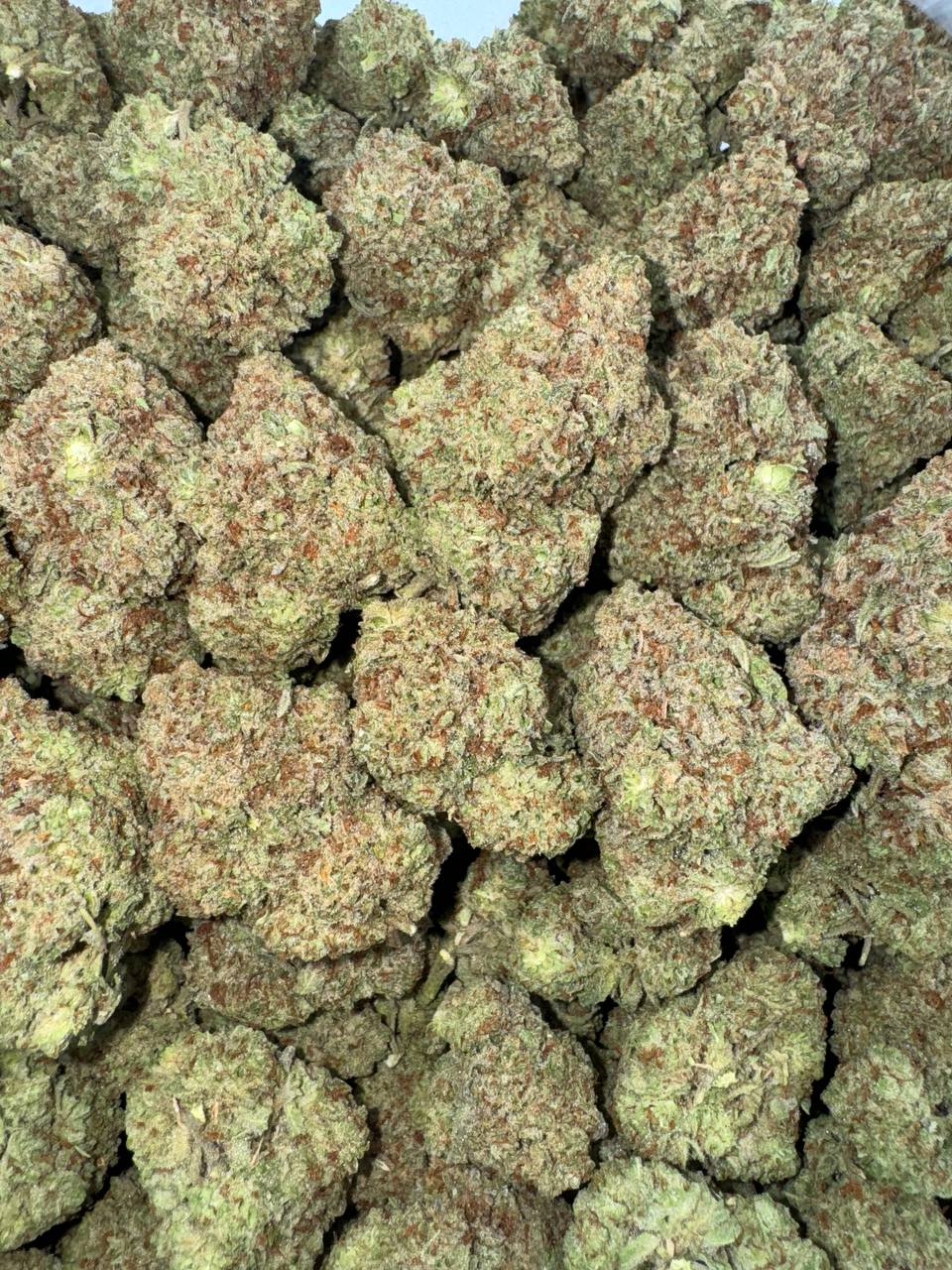 ⚜️Cali Exclusive Candy Infused ⚜️  Gummy Bear flavor  🍬🍭🧸 **Candy Cake**