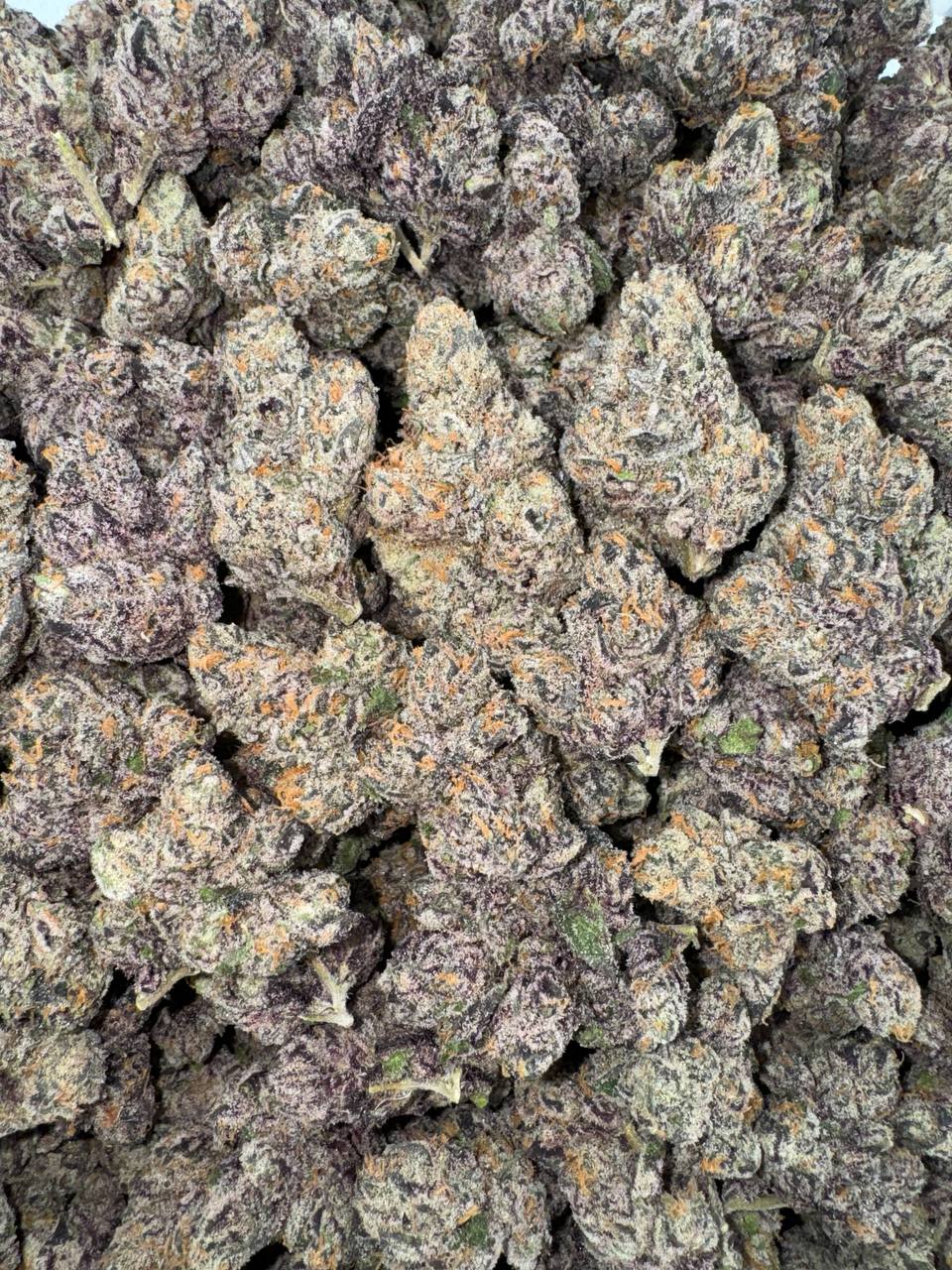 Gumbo Gelato (Organic)🍲🍦🍨
