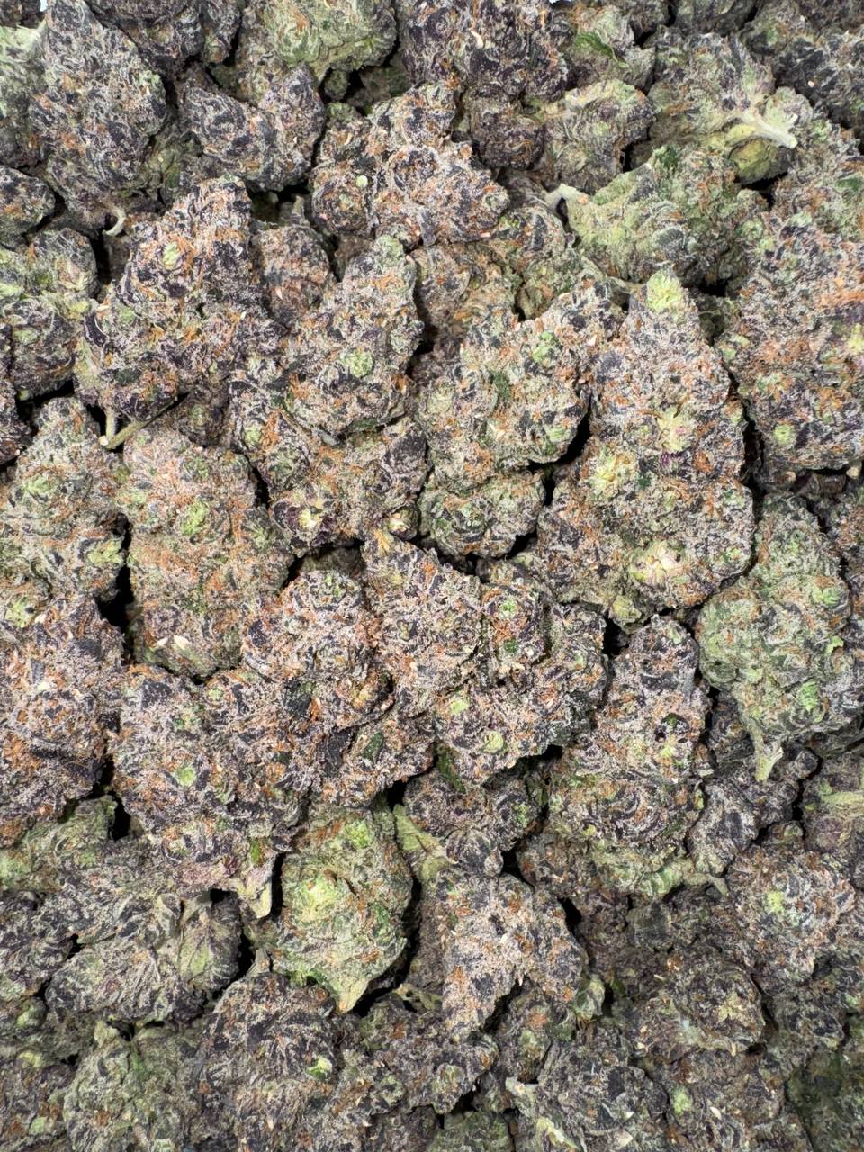 Gelato X 🍨🍧❌