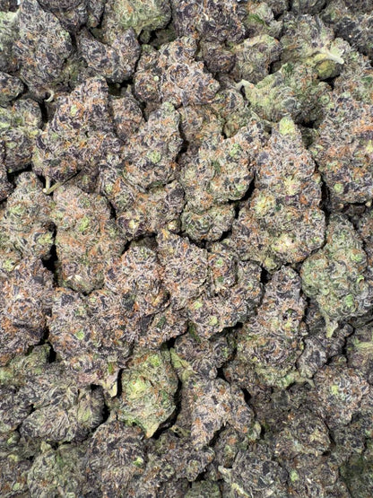 Gelato X 🍨🍧❌