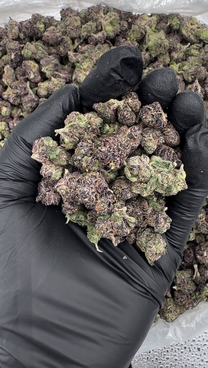 Jealousy Skittlez (Organic Mediums & Smalls)🍇🪻🍬