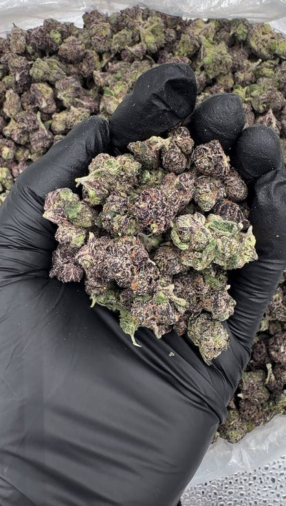 Jealousy Skittlez (Organic Mediums & Smalls)🍇🪻🍬