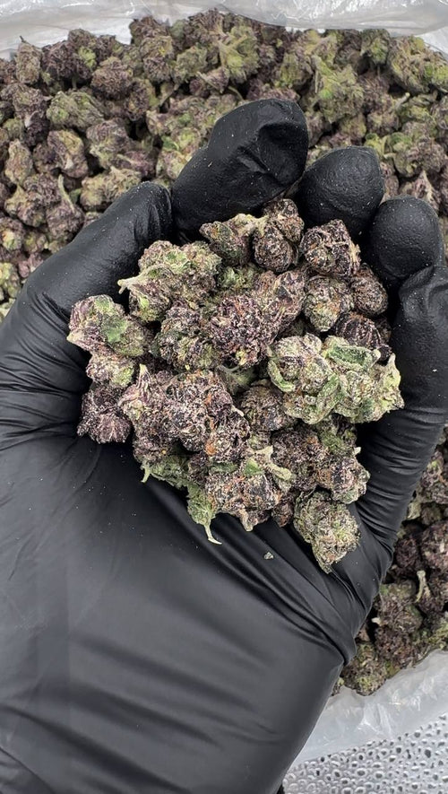 Jealousy Skittlez (Organic Mediums & Smalls)🍇🪻🍬