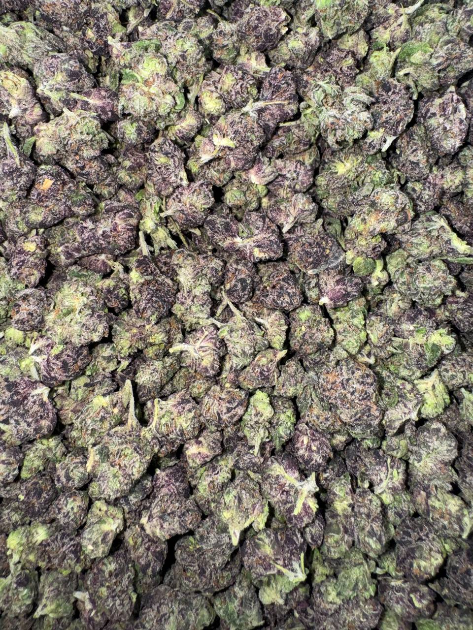 Jealousy Skittlez (Organic Mediums & Smalls)🍇🪻🍬