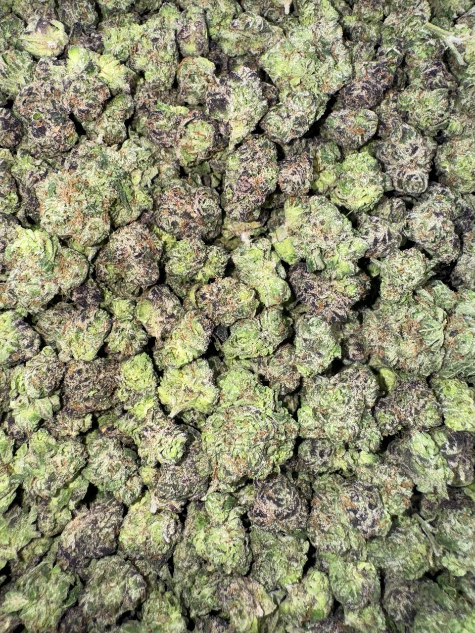 Kiwi Melon (Organic Medium/ Smalls) 🥝🍉🍈