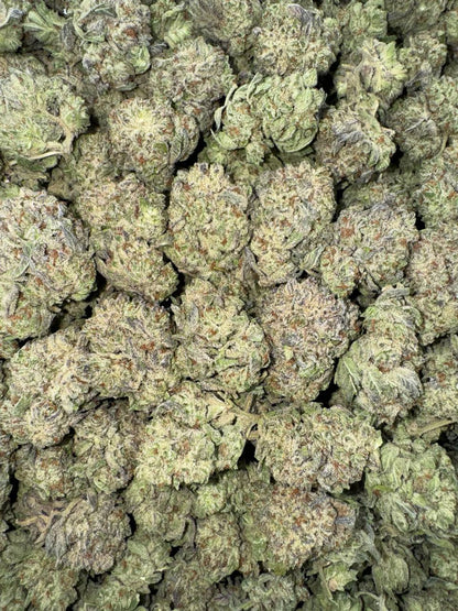 Gelato King 🍨👑⚜️