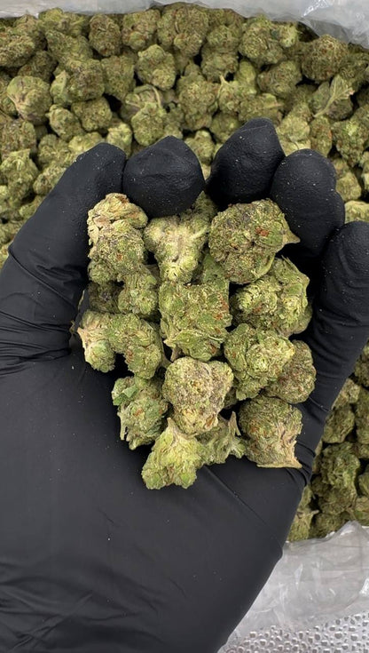 Lemonatti (Mediums)🍋🔥🥤