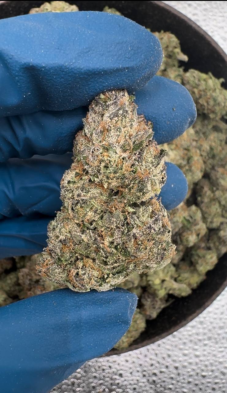 Lemon Cherry Gelato 🍋🍒🍨