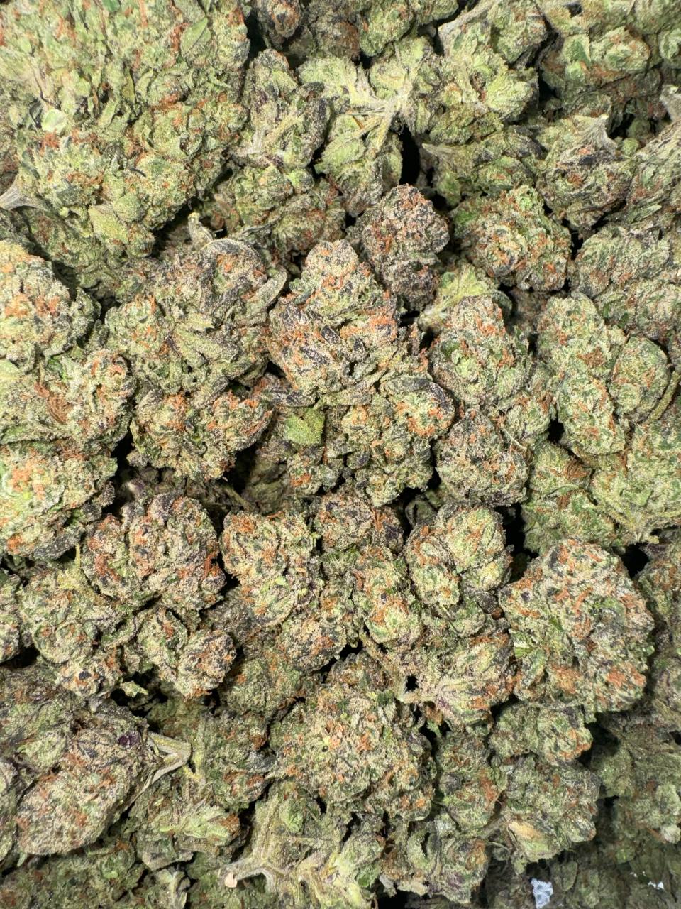 Lemon Tart 🍋🥧🥰
