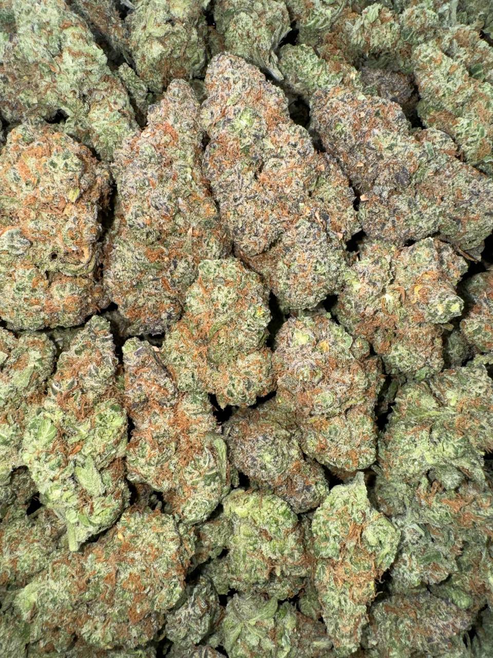 Sour Lemon 🥹🍋🍋
