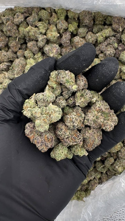 Busta Lime (Organic Mediums)🥊💥🍋