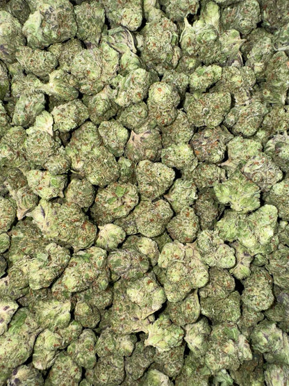 Lemonatti (Mediums)🍋🔥🥤